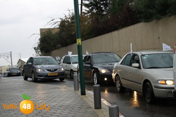 qafela sayarat haiywa (28).JPG